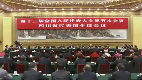 习近平总书记到四川代表团参加审议——好医生·福能源董事长耿福能为“脱贫攻坚战略”谏言献策