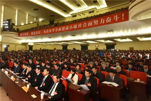 隆力奇徐之伟出席江苏省两会 观点实在受众多媒体采访
