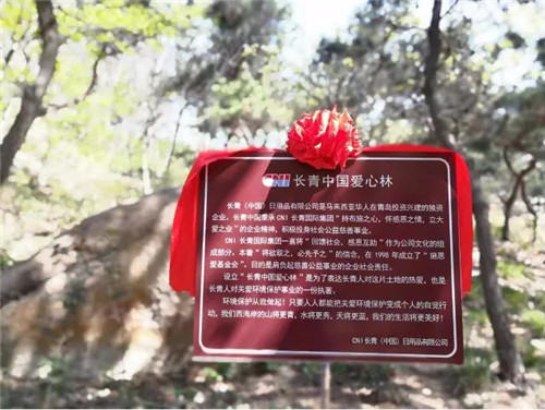  长青中国在青岛西海岸设立“爱心林”