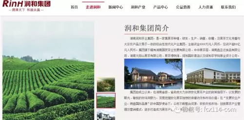 曝光丨湖南润和茶业集团自创DFI项目，玩股权拆分，涉嫌金融传销