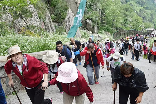 金日鸿雁领袖菁英训暨泰山之旅