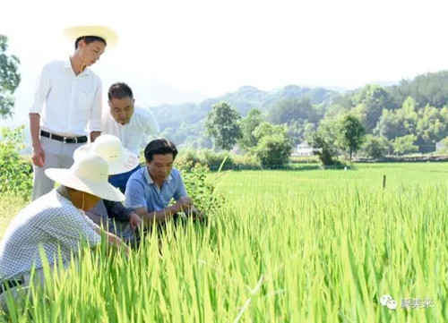 康美来余春富视察云湶谷长岭农场