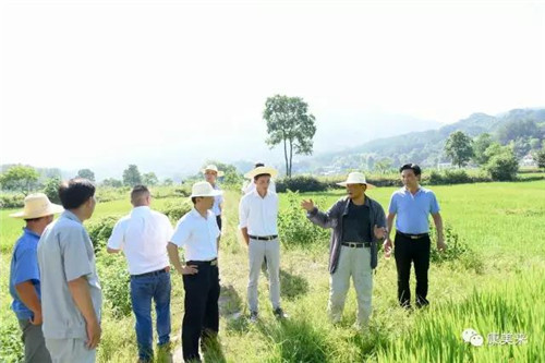 康美来余春富视察云湶谷长岭农场