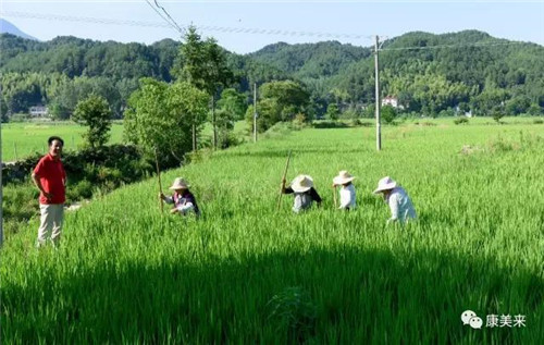 康美来余春富视察云湶谷长岭农场