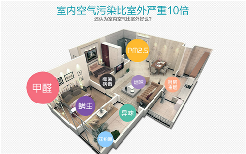 澳兰斯：让您和家人享有清新空气，健康生活