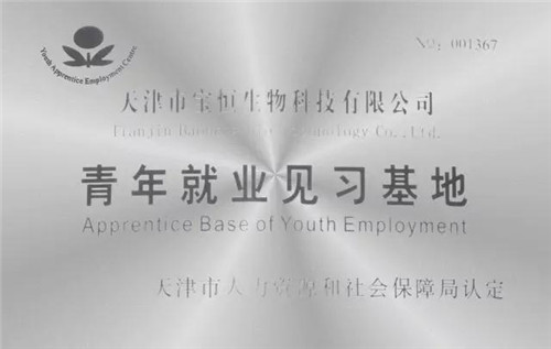 祝贺天津市宝恒生物科技有限公司荣获青年就业见习基地牌匾