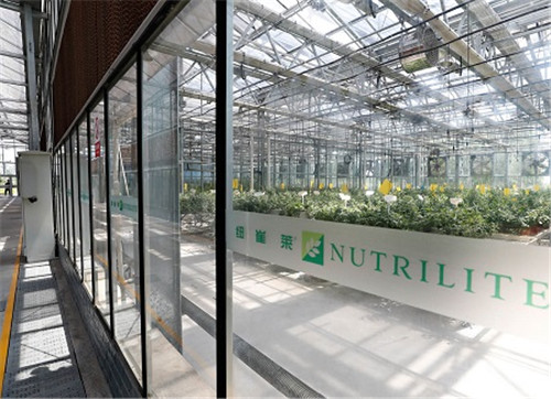 安利植物研发中心：提取自然精华 坚持科学精萃