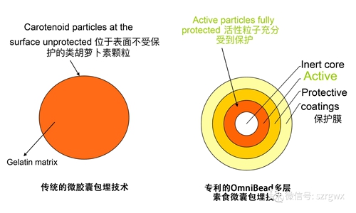 荣格又出黑科技，简直炫到没朋友