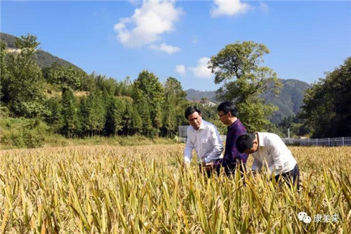 视频丨专程接送“点对点” 返岗保障“心贴心”