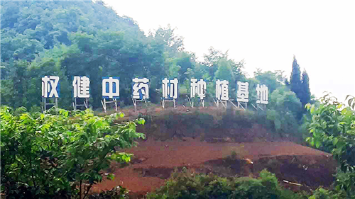 抓源头提质量，权健药材基地建设如火如荼