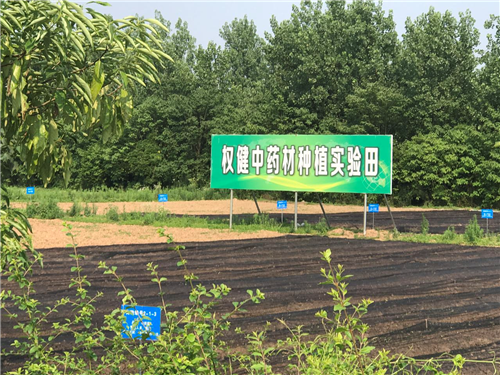 抓源头提质量，权健药材基地建设如火如荼