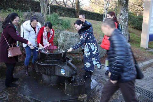 乘风破浪，尽情绽放——春芝堂2017年豪华邮轮尊贵之旅凯旋归来