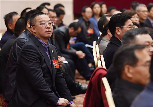 绿之韵胡国安委员出席湖南省政协十二届一次会议