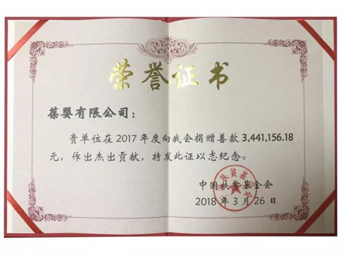 葆婴获颁“2017年作出杰出贡献"捐赠纪念牌