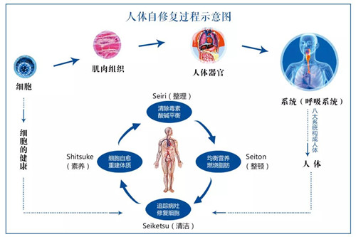 卫康崭获三项大奖，扛鼎健康产业大旗