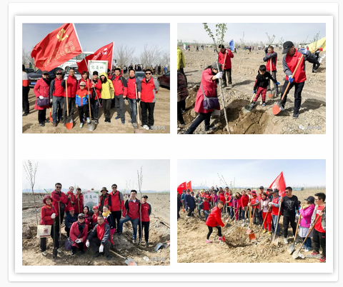 完美新疆分公司参与植树活动，新疆第四片“完美林”建成！