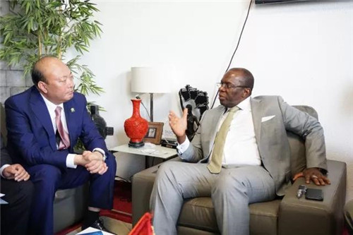 李金元非洲会见几内亚国务部长，加速天狮西非布局