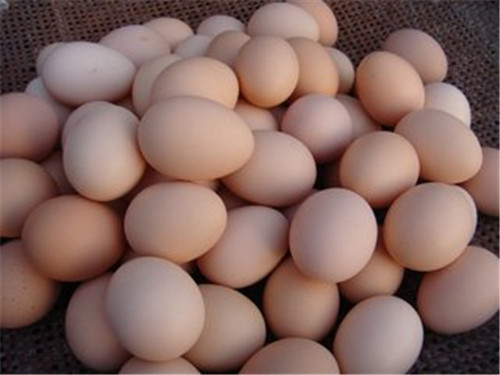 中脉小贴士：鸡蛋真能淡化皱纹吗？