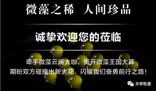 炎帝牵手微藻云端大咖 打造微藻食品第一品牌