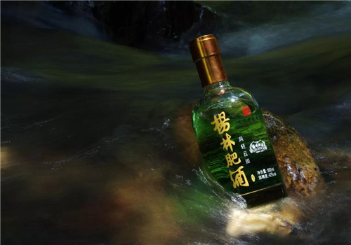 理想跨越三个世纪·招待朋友的酒：杨林肥酒品牌形象全新亮相