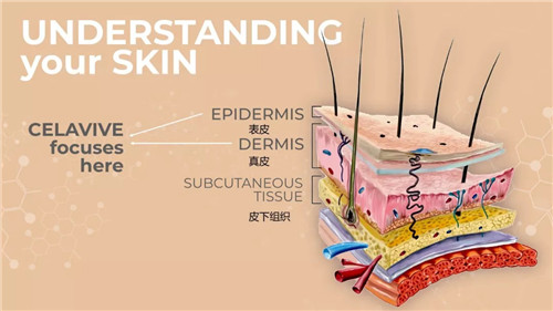 科技守护秀丽 葆婴开启CELAVIVE活力美肌之旅
