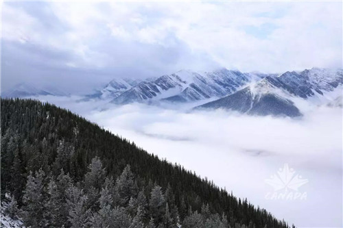 三生：漫天飞雪，我们和落基山脉“面对面”！