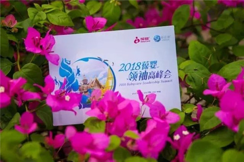 倾心之旅，筑梦启程——2018葆婴领袖高峰会再次启航