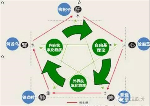 双迪心脑血管疾病高发季，你需要一盒益尔康尚合胶囊