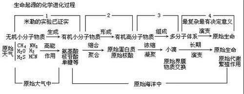 双迪®核诺胶囊：小胶囊也能有大作为！®核