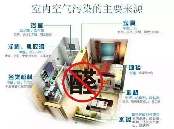 富迪雅歌丹精油香薰疗法让空气污染成为“过去时”