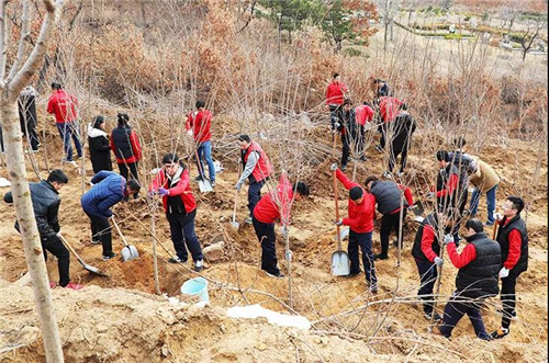 安然集团总部、山东分公司公益植树活动盎然开启