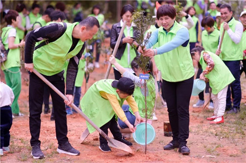安然深圳分公司公益植树活动精彩开启