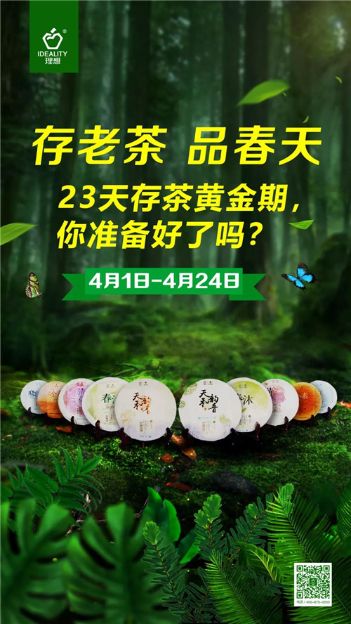 理想科技：23天存茶黄金期，理想你准备好了么？