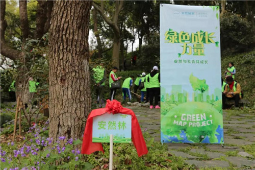 安然杭州分公司公益植树活动靓丽开启