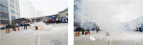 广州兰蝶：提高消防安全意识，加强消防应急演练！！