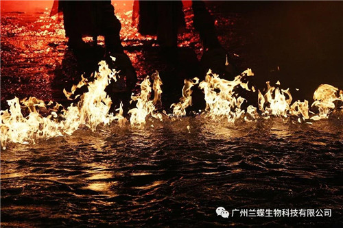 广州兰蝶：提高消防安全意识，加强消防应急演练！！
