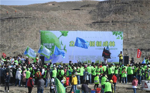 安然新疆分公司公益植树活动盛大开启