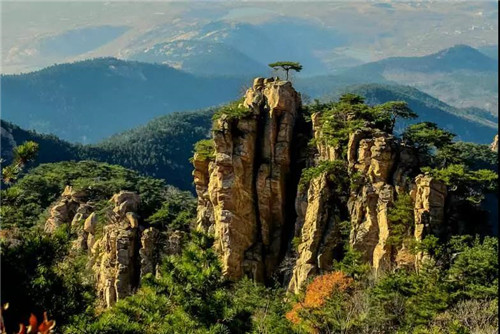卫康：省委书记刘家义对沂蒙山创建世界地质公园作批示