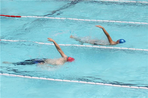 东阿阿胶：世锦赛载誉归来！国家游泳队也选阿胶为队员“补”身体