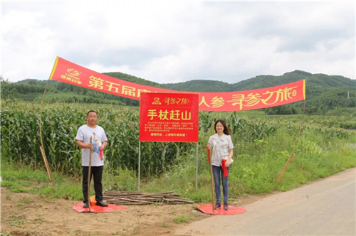 康美药业“寻参之旅”走进集安新开河