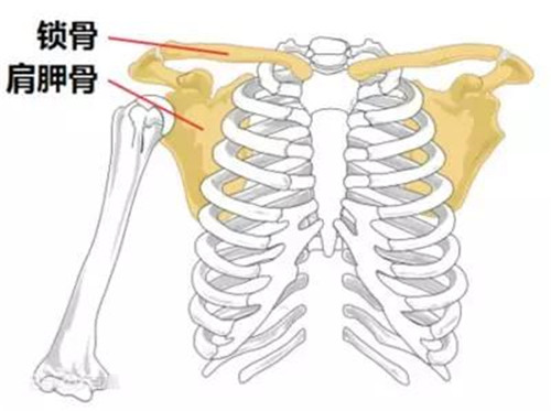 新时代：缓解肩膀酸痛，还要从根本下手，就在这个部位...