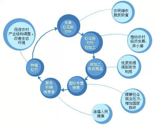 松花粉、玛咖、净水器等多款新时代国珍产品被编入教材和科普书籍！