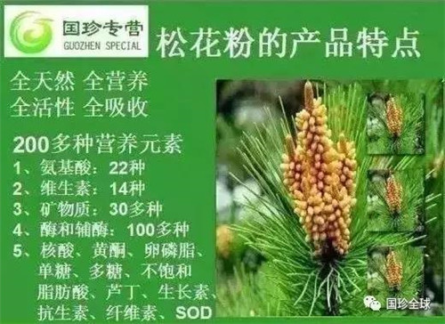 新时代：常吃松花粉到底有什么好处？让你多活二十年!