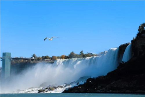 无限极：梦想的翅膀，让我们翱翔在“枫”光灿烂的加拿大！