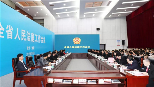 绿之韵胡国安参加湖南全省人民法庭工作会议