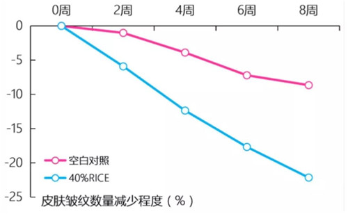 LactoRice大米发酵滤液