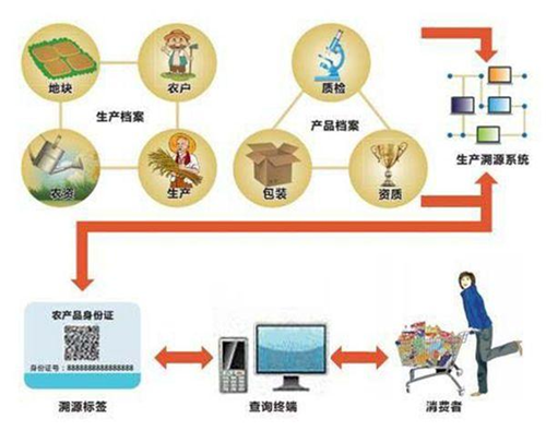 广州推进“区块链+AI+食品溯源”智能监管