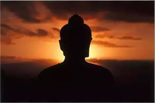 金诃：藏医药的魅力 | 佛教与特殊传承