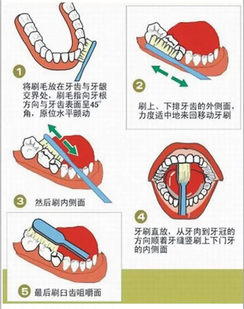 天美仕浓缩型益生菌牙膏 | 健康·亮白·笑出精彩！仕浓缩型