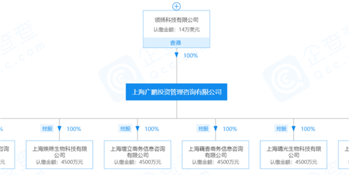 微商“TST庭秘密”最大股东上海广鹏公司股权被法院冻结